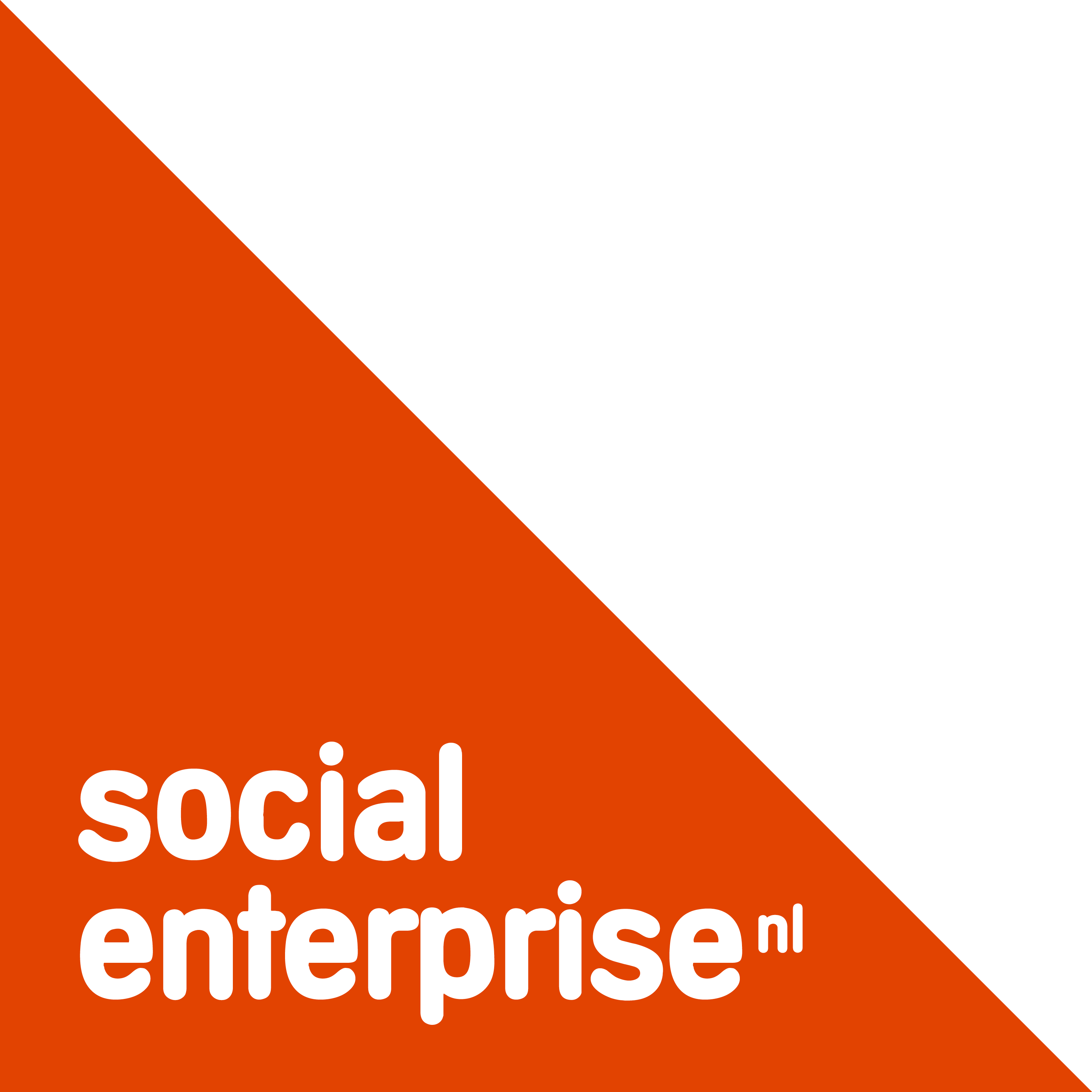 Social Enterprise NL - partner van deBesteEHBOdoos